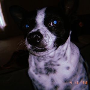 Meet your Posher, Jayden